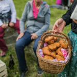 Niggilan, Gebäck, Tradition, Sexten, Südtirol